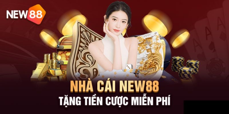 New 88 Lưu ý cho cược thủ khi tham gia ưu đãi tại New 88 đảm bảo thành công